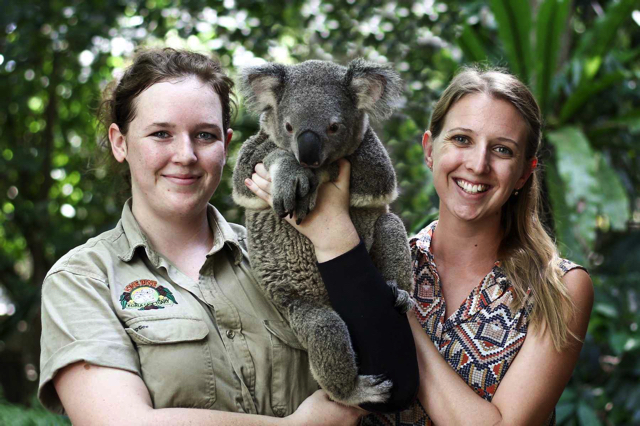 5-diem-du-lich-thu-vi-khong-nen-bo-lo-khi-den-brisbane-1