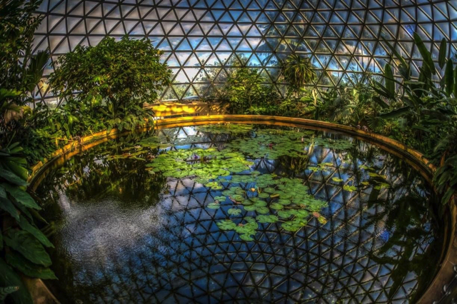 Vườn Bách thảo Brisbane Mount Coot-tha được chia thành nhiều khu vực tự nhiên tuyệt đẹp và ấn tượng